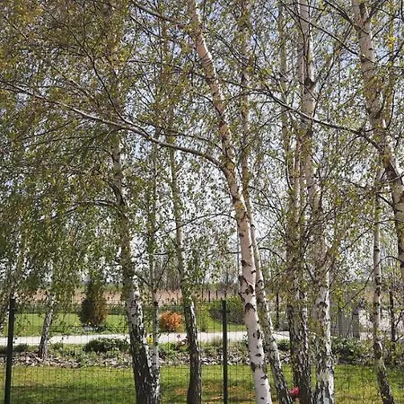 San Escobar Dziwnówek