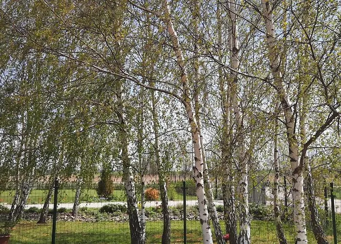 San Escobar Dziwnówek